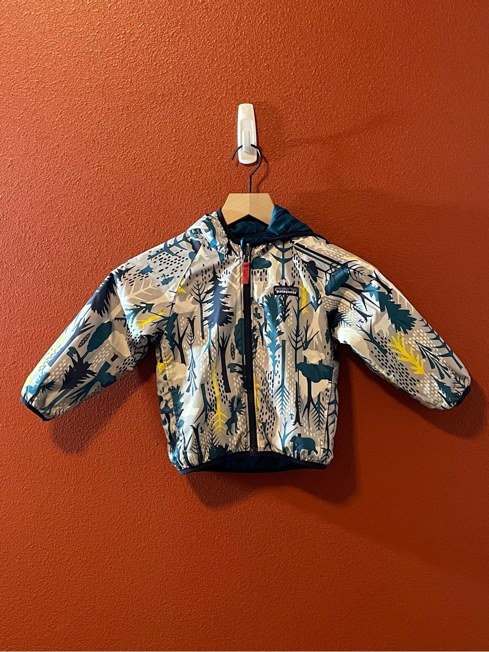Patagonia Boy’s Reversible Nanopuff Full Zip Gorpcore Hooded Jacket